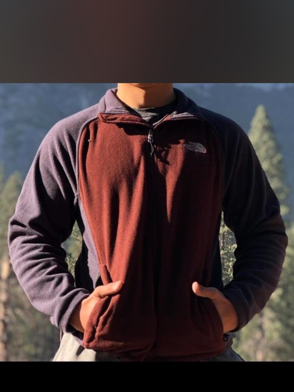 The North Face Burgundy and Gray Fleece Jacket